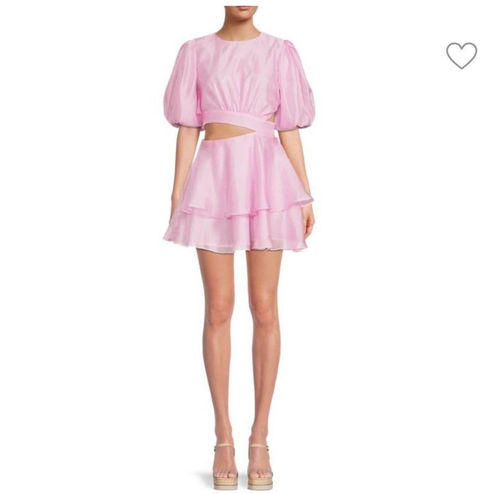 Bardot Enya Organza Mini Dress - Picture 3 of 6